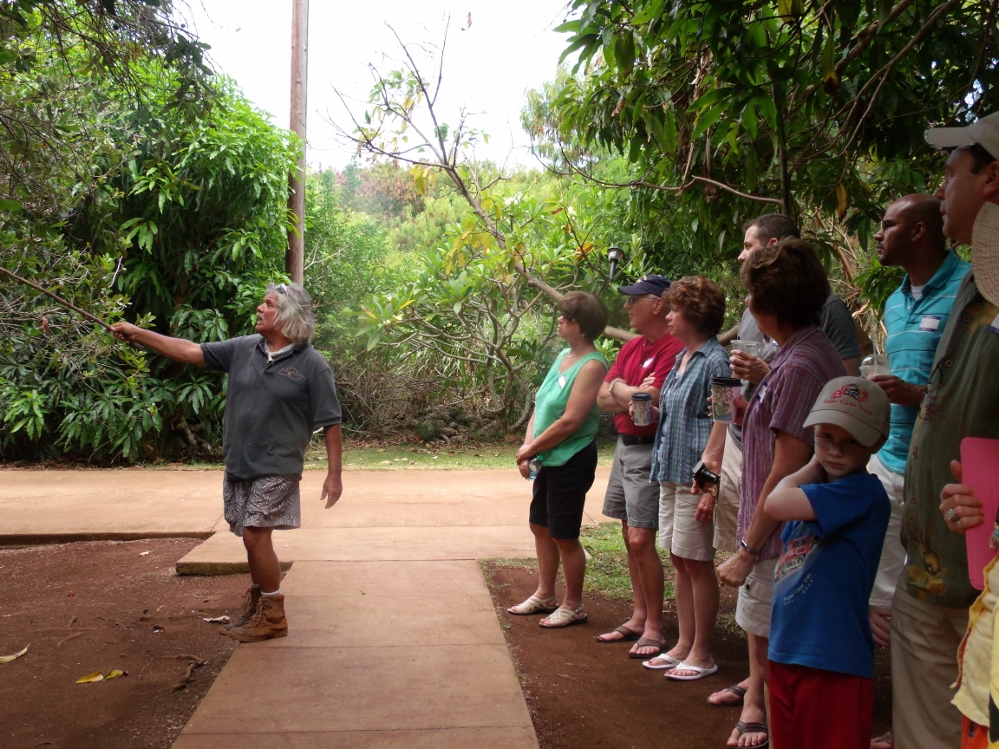 Moloka'i guided Ali'i Tour Tickets and Reservations 8888419155